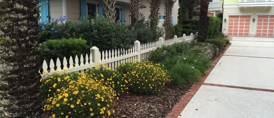 Waterfront landscape design by Southern Horticulture with palms and layered coastal planting