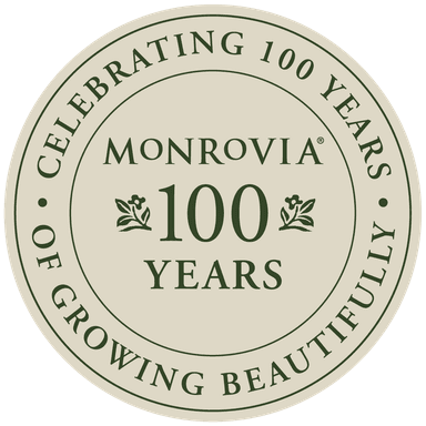 Monrovia
