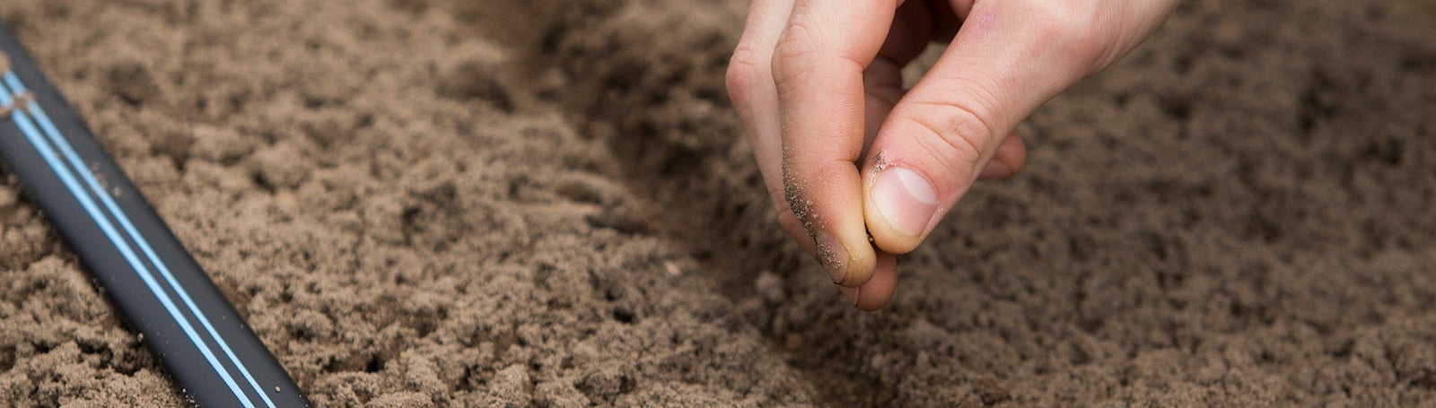 Southern Horticulture Gardening Guide